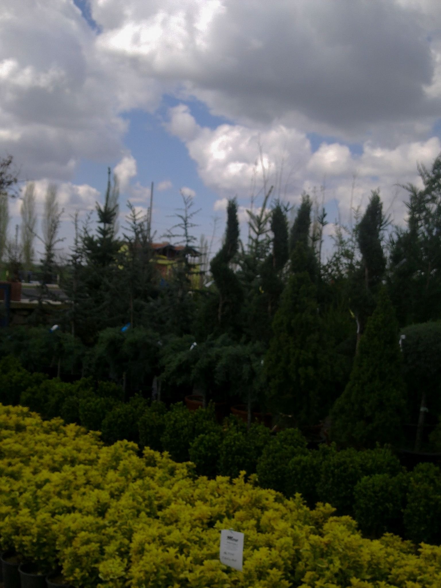 Adsız tasarım (1) Adsız tasarım (1)